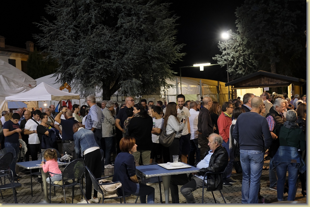 Foto successiva